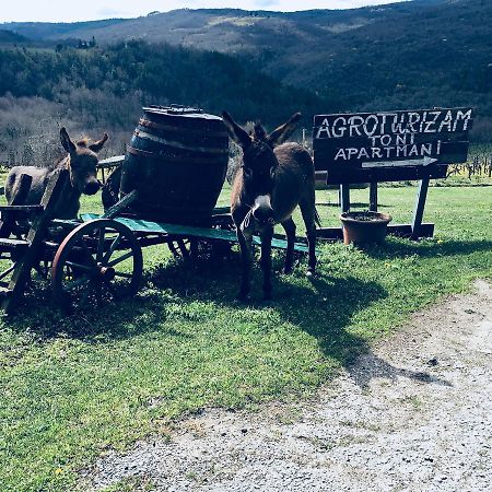 Agroturizam Toni Διαμέρισμα Motovun Εξωτερικό φωτογραφία
